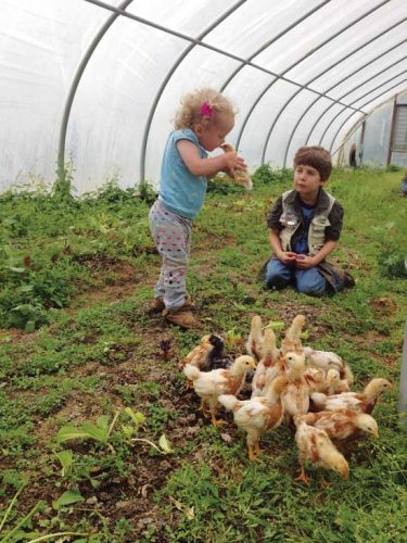 Inside a Midwestern Community Supported Agriculture Farm